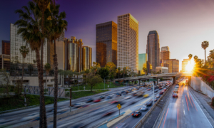 Los Angeles gov case study